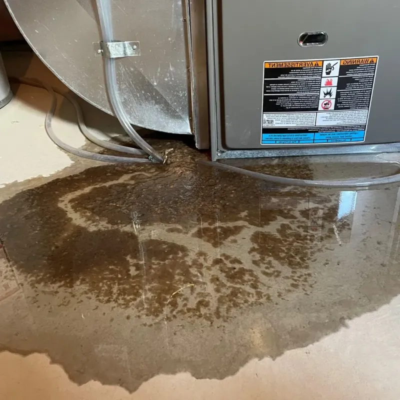 Pipe Burst and Leak Restoration in Old Tappan, NJ