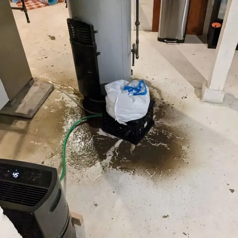 Sewage Backup Cleanup Service in Old Tappan, NJ